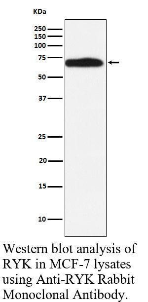 生物相关数据