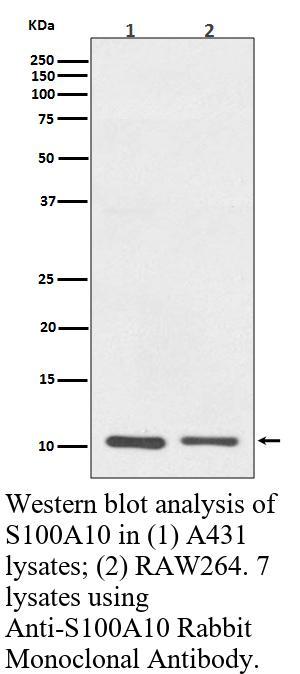 生物相关数据