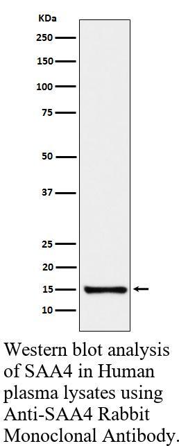 生物相关数据