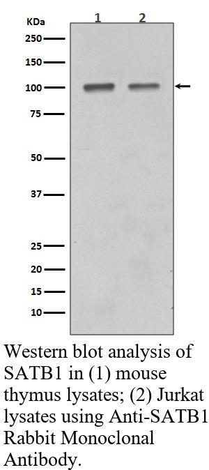 生物相关数据