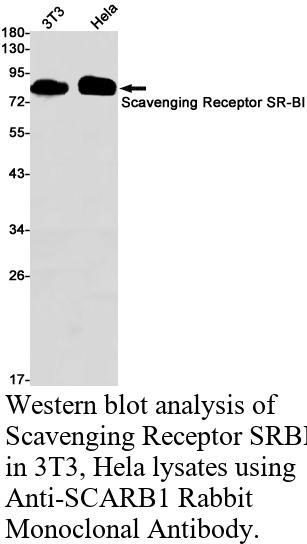 生物相关数据