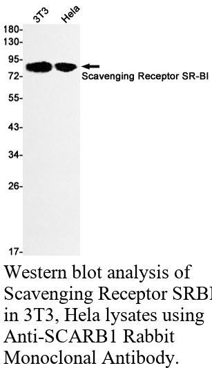 生物相关数据