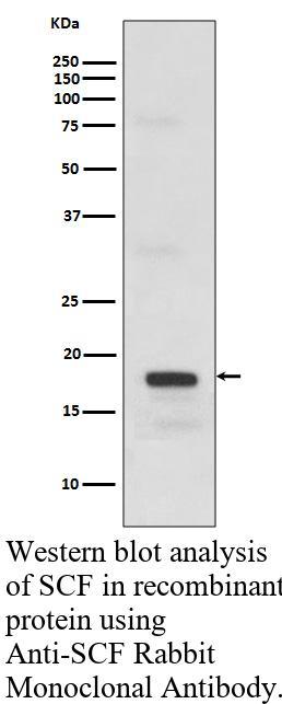 生物相关数据