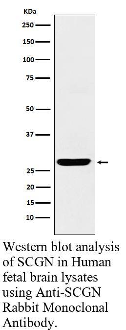 生物相关数据