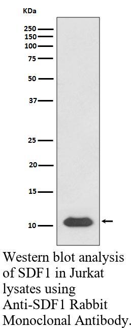 生物相关数据