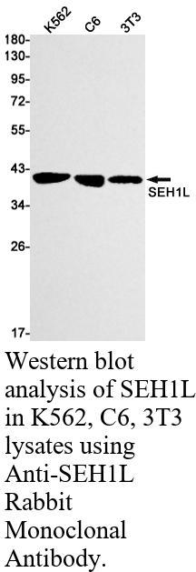 生物相关数据