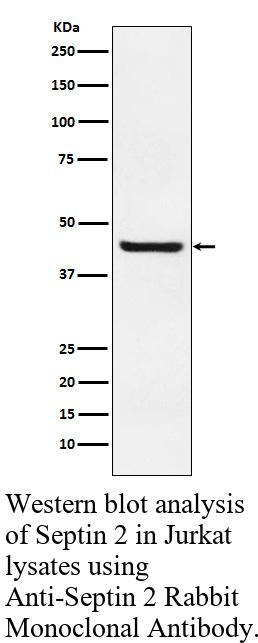 生物相关数据