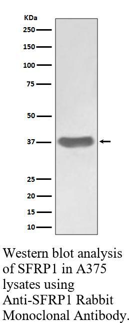 生物相关数据