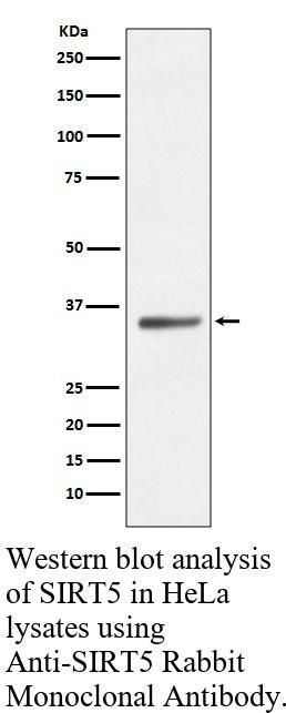 生物相关数据