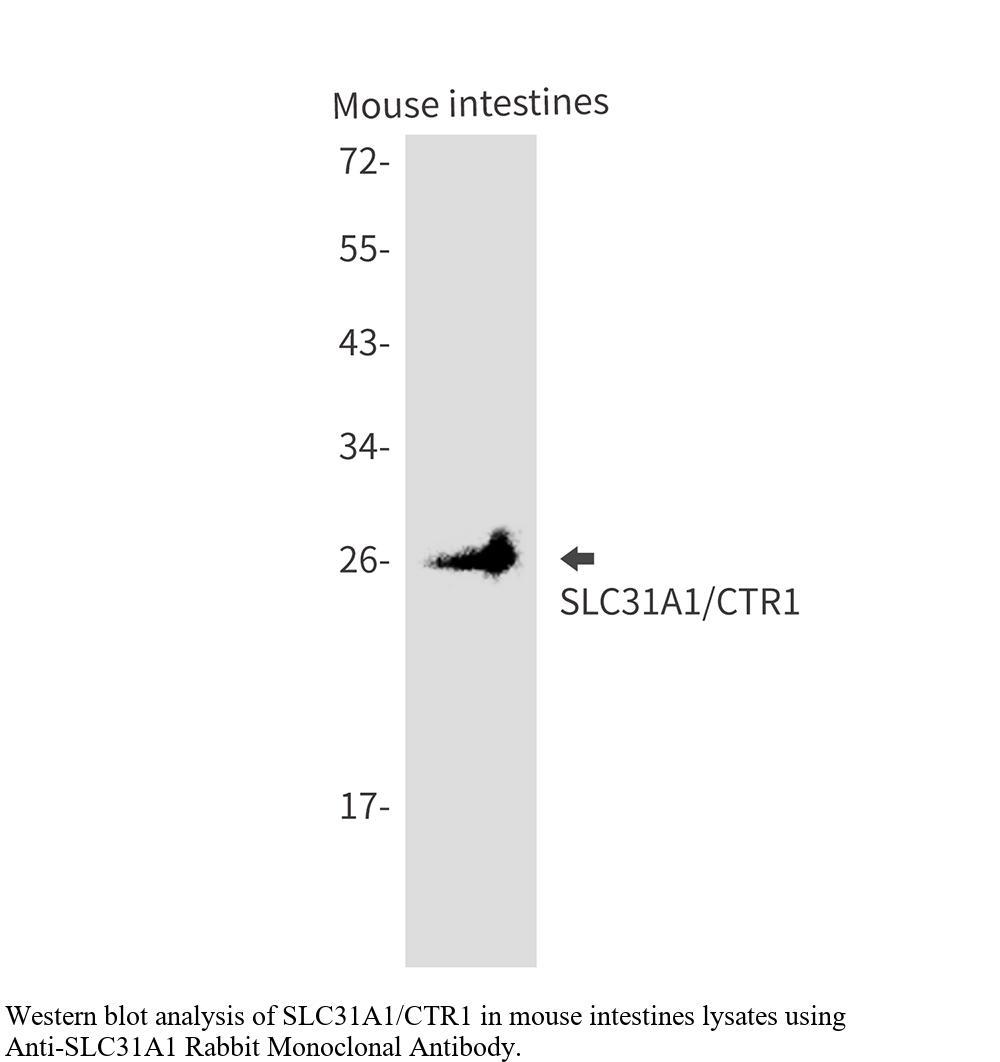 生物相关数据