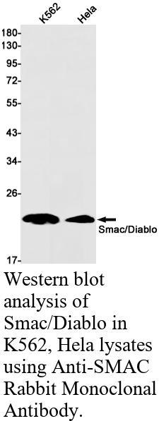 生物相关数据