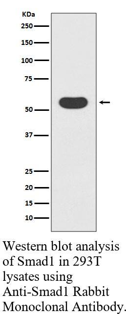生物相关数据