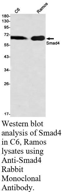 生物相关数据