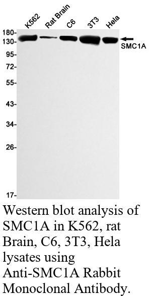 生物相关数据