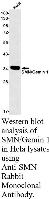 生物相关数据