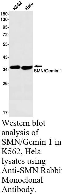 生物相关数据