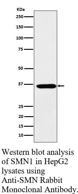 生物相关数据