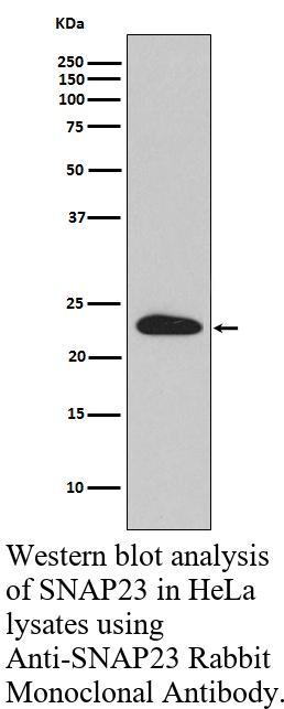 生物相关数据