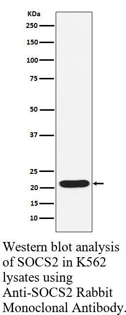 生物相关数据