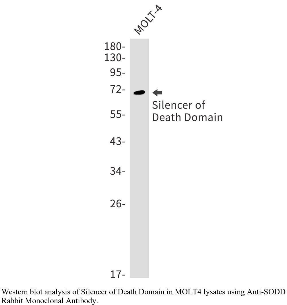 生物相关数据