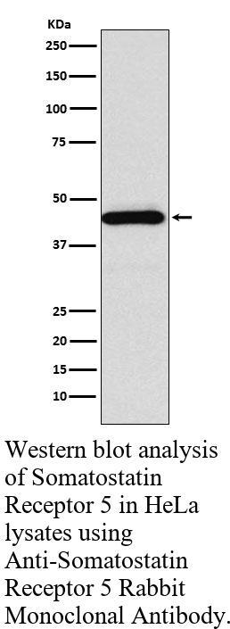 生物相关数据