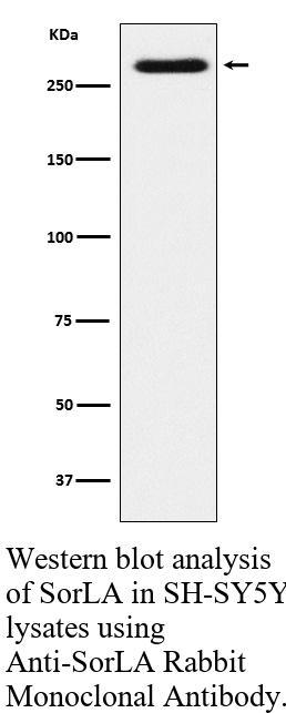 生物相关数据