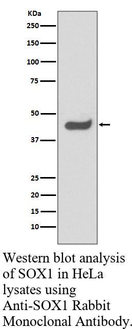 生物相关数据