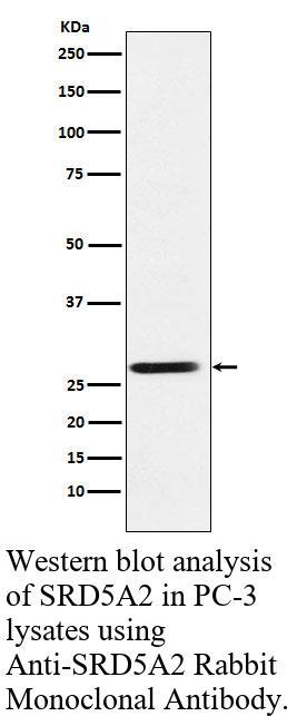 生物相关数据
