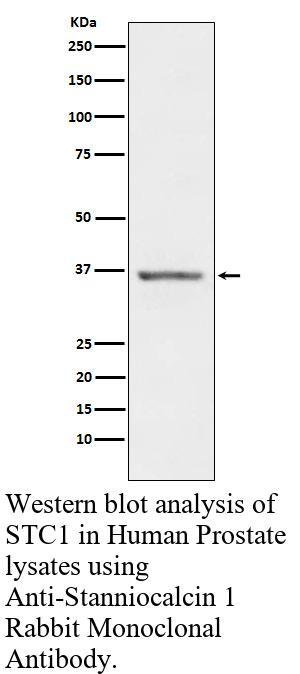 生物相关数据