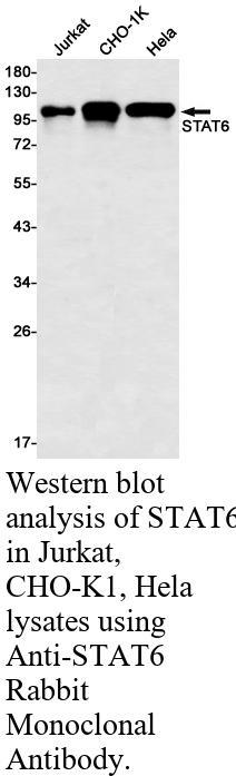 生物相关数据