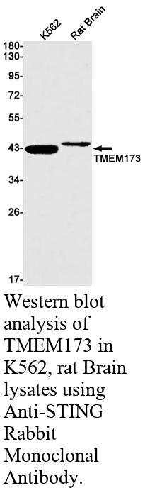 生物相关数据
