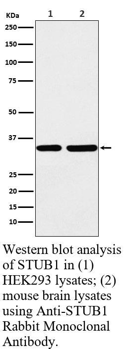 生物相关数据