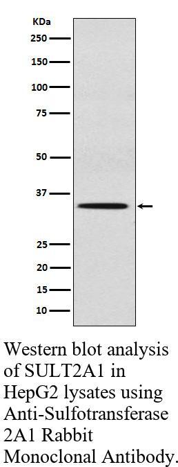 生物相关数据