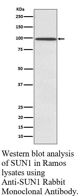 生物相关数据
