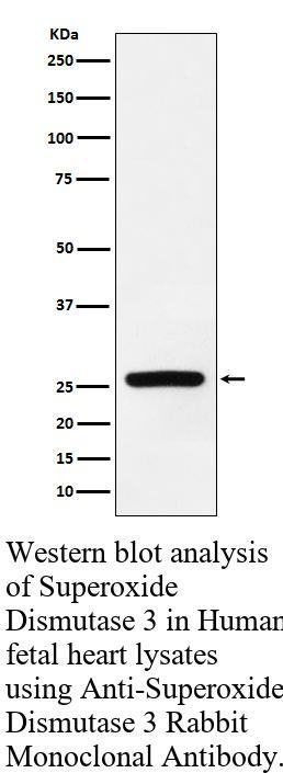生物相关数据