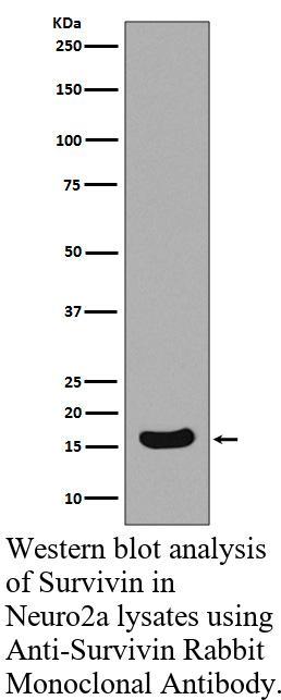 生物相关数据