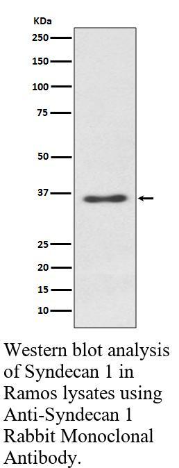 生物相关数据