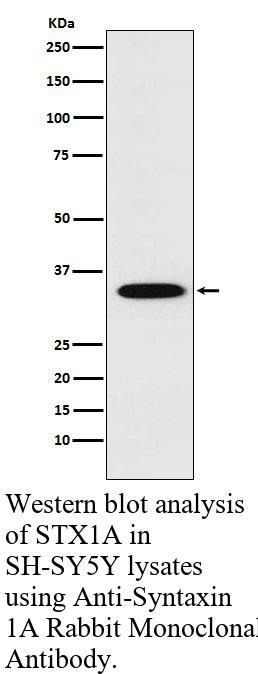 生物相关数据