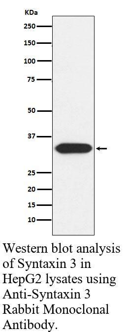 生物相关数据