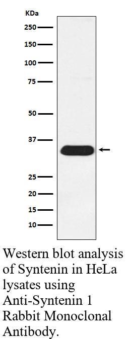 生物相关数据