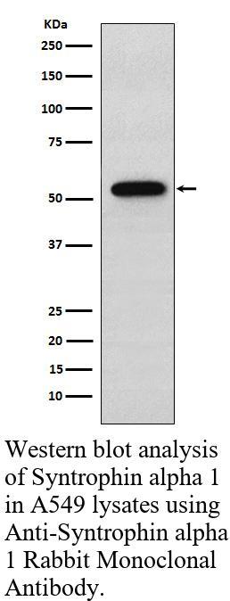 生物相关数据