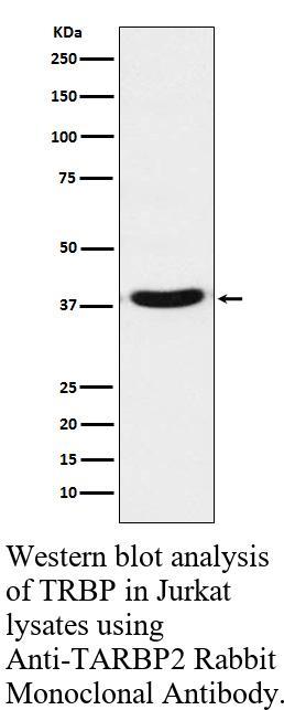 生物相关数据