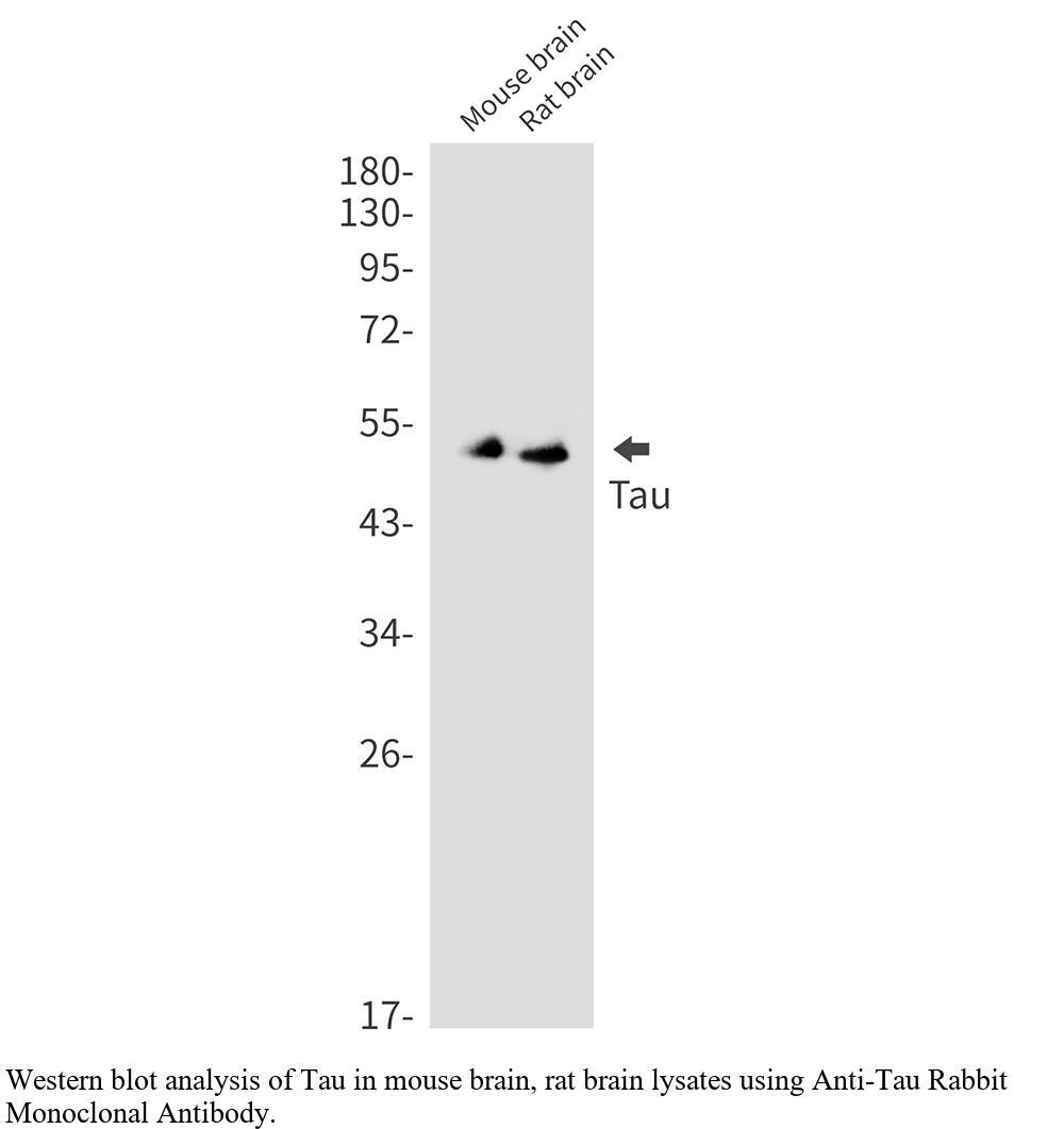 生物相关数据