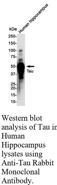 生物相关数据