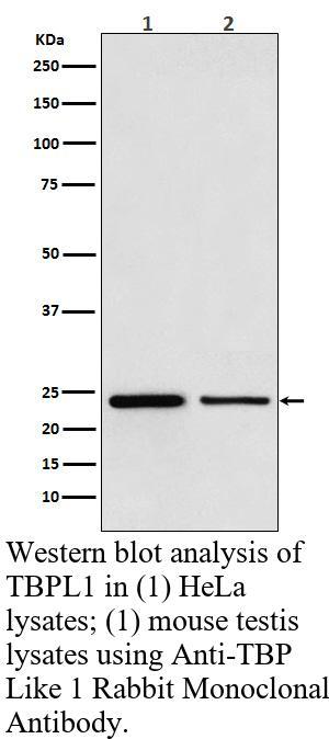 生物相关数据