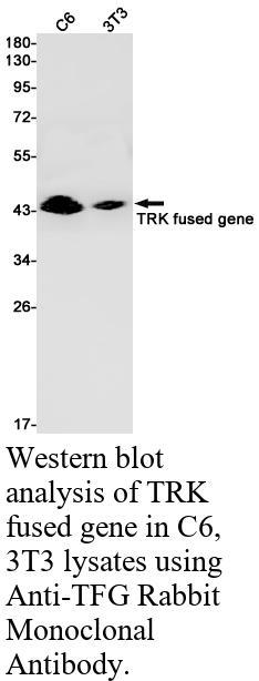 生物相关数据