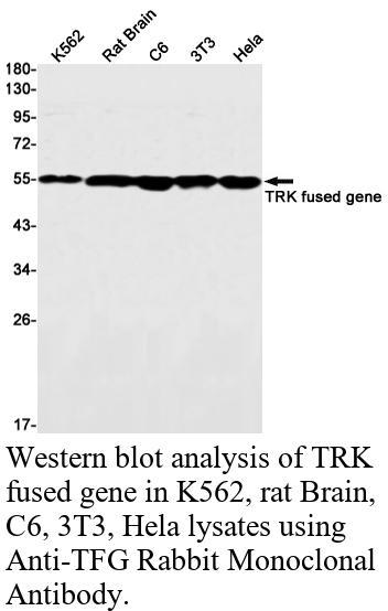 生物相关数据