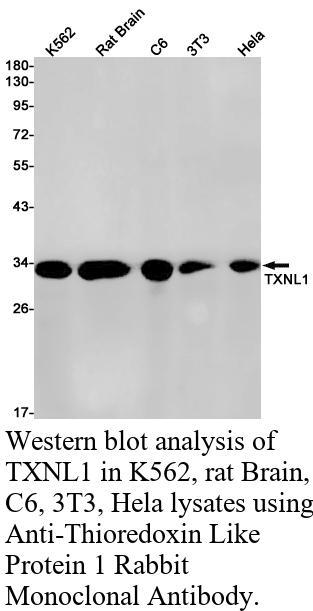 生物相关数据