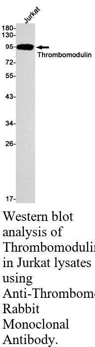 生物相关数据