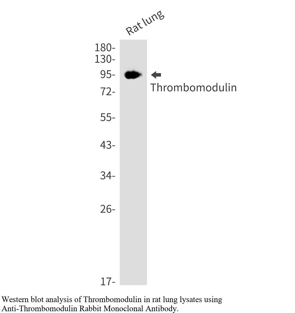 生物相关数据